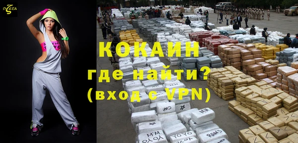крисы Покачи